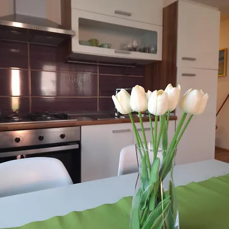 Modern In Porec