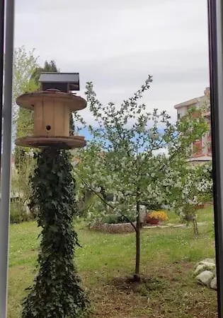 Apartament Modern In Poreč