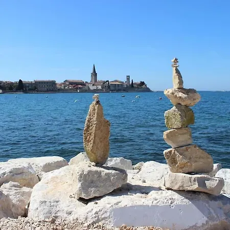 Apartament Modern In