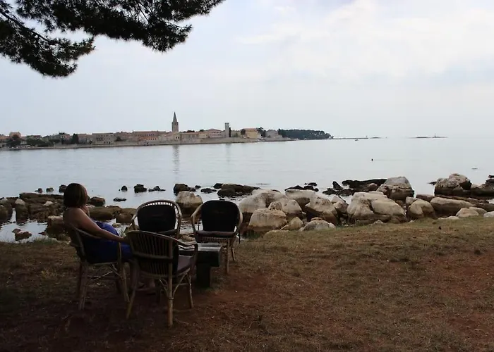 Apartment Modern In *